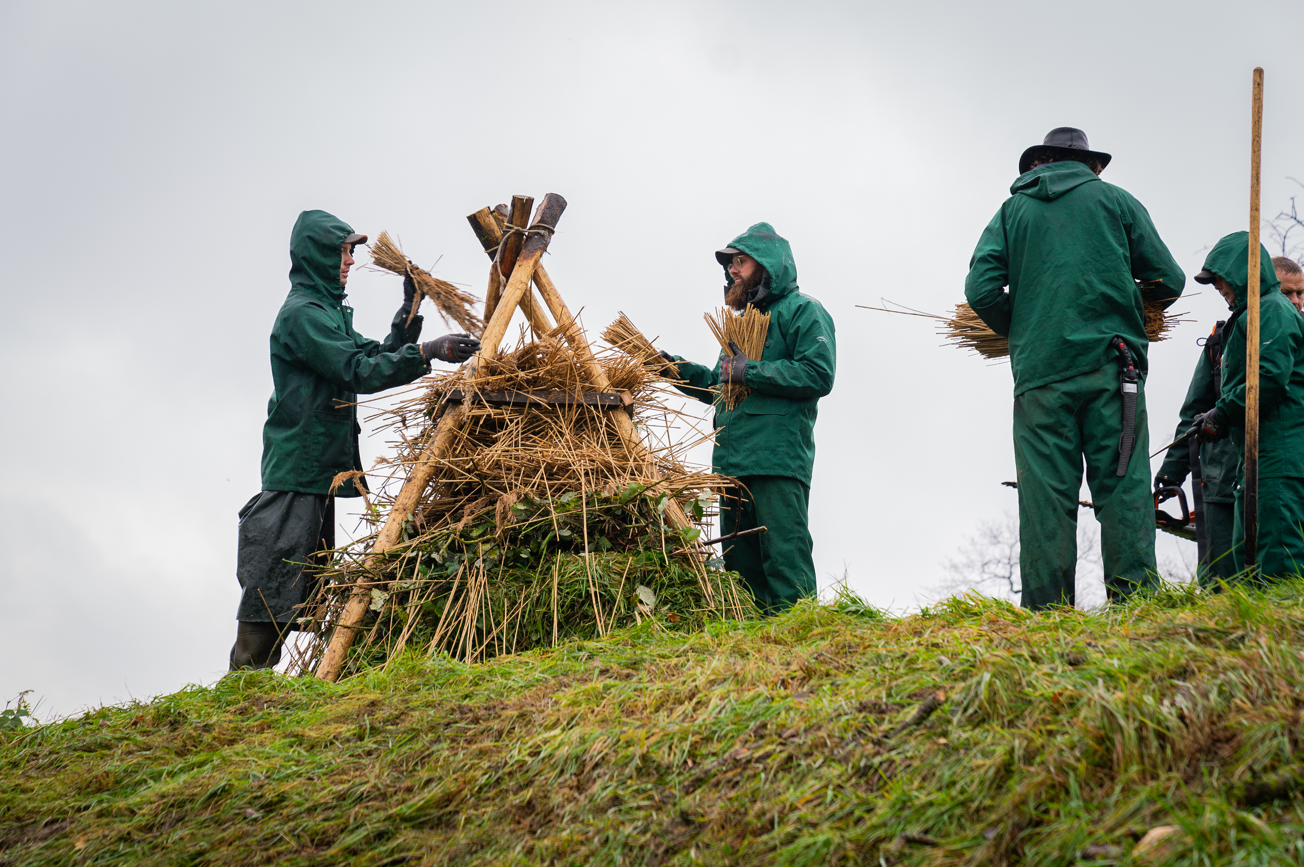 Bijenruiters: een ideale plek voor insecten